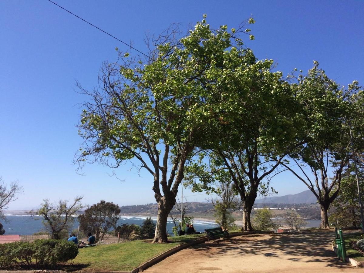 Concón Bahia Luz Hostal מראה חיצוני תמונה